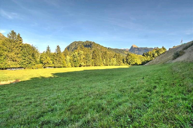 Vente Terrain MONTRIOND