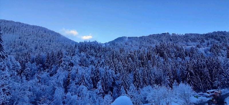 Terrain - MORZINE