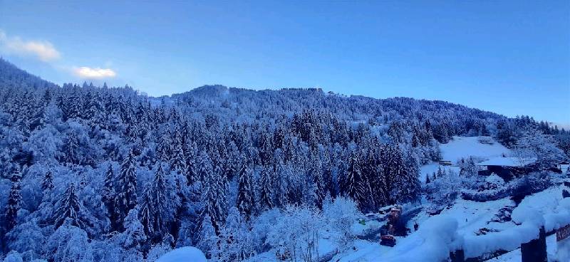 Terrain - MORZINE