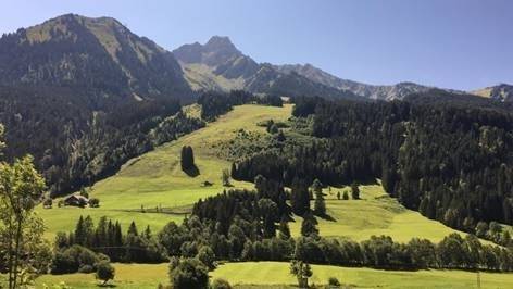 Terrain - LA CHAPELLE D'ABONDANCE